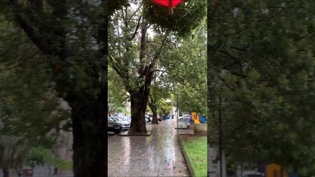 Walk around Batumi! #countries #walking #travel #batumi смотреть онлайн