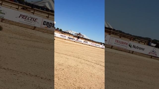 santos corse смотреть онлайн
