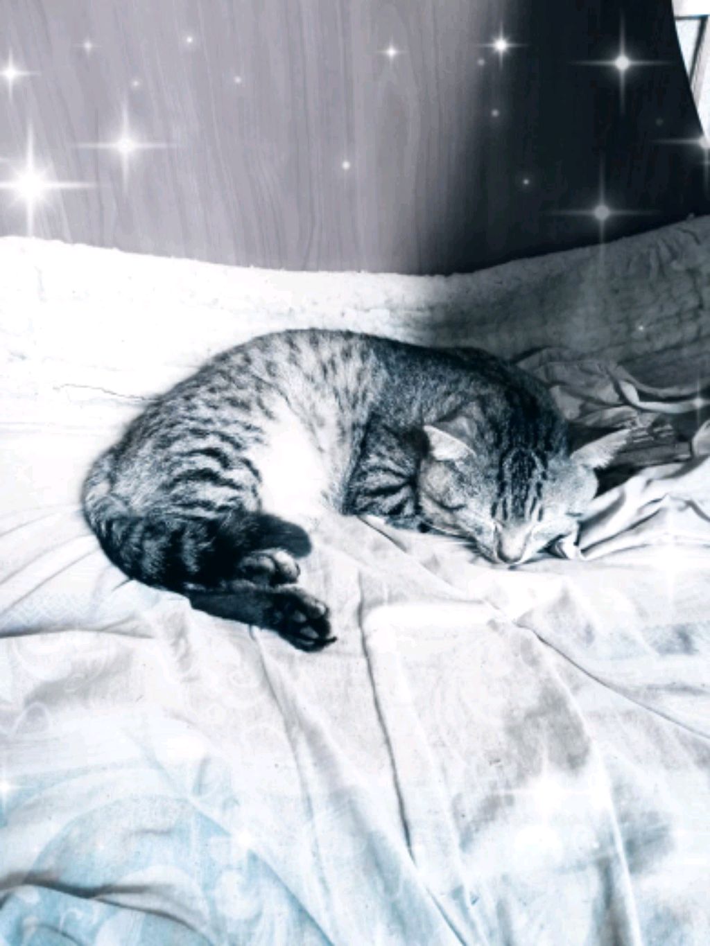 не я смотреть онлайн