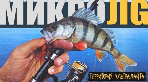 ДИКИЕ ОСЕННИЕ ОКУНИ РВУТ ПРИМАНКИ ► МИКРОДЖИГ