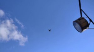 Голуби Георгия Ивановича г.Димитров