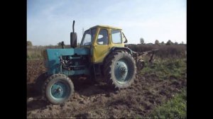 Трактор ЮМЗ 6 Осенняя пахота 2015!