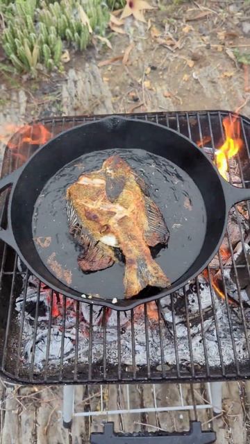 Offgrid Cooking - Grilling Our King Kole - Fresh From The Ocean