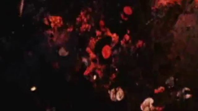 Sirr - Yaşamaq Gözəldir смотреть онлайн
