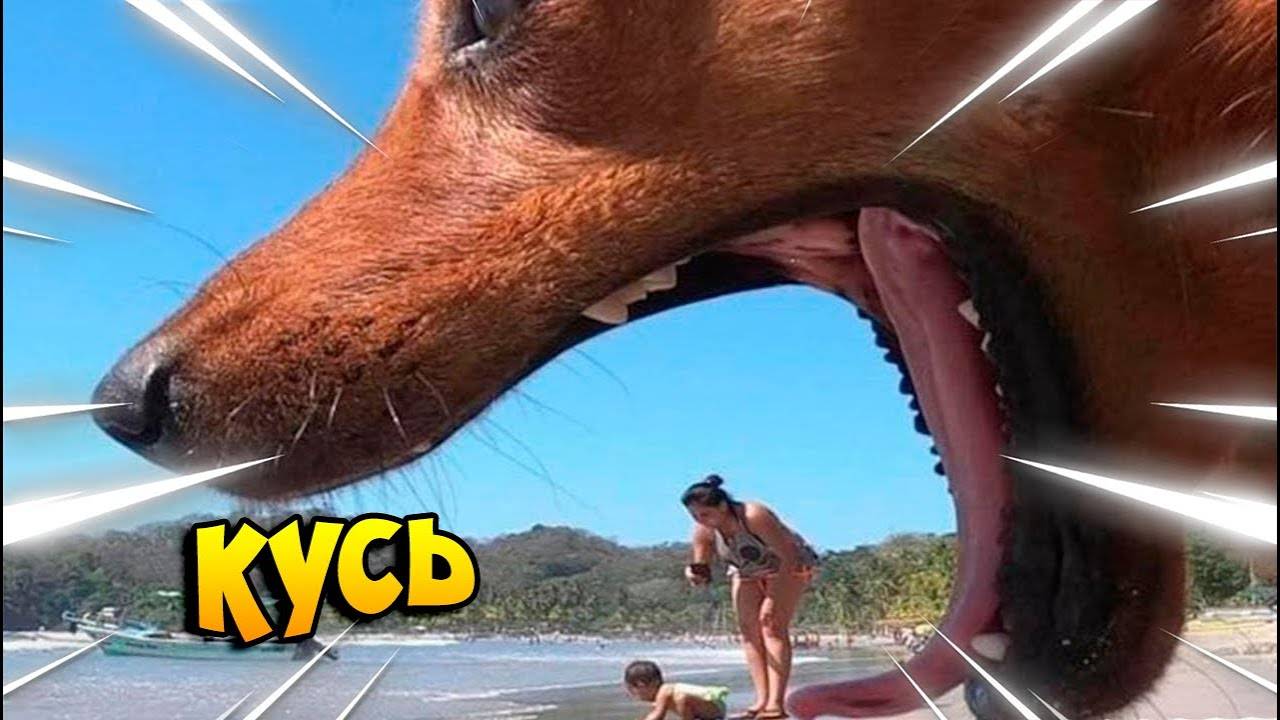 ПОПРОБУЙ НЕ ЗАСМЕЯТЬСЯ, 777% ПРОИГРАЮТ / 313 СЕКУНД СМЕХА | ПОДБОРКА ПРИКОЛОВ / СМЕШНЫЕ ВИДЕО 2025 смотреть онлайн