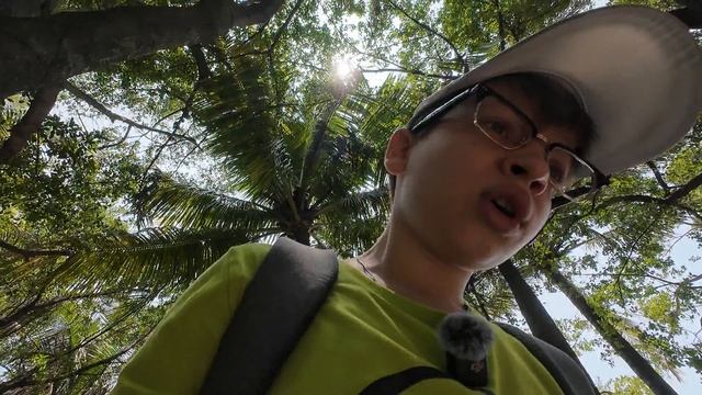 Шэньчжэнь ВЛОГ 2: The MixC, Shenzhen Bay Park, Civic Square