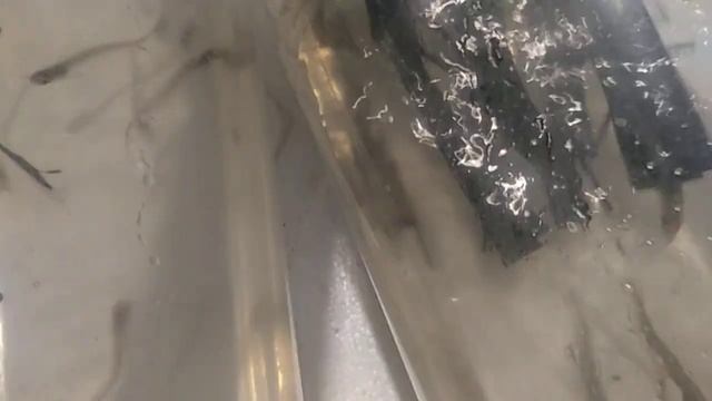 Ще трошки риби приїхало смотреть онлайн