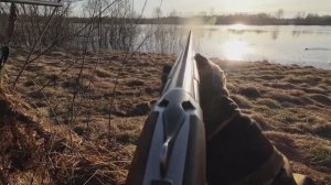 Вдвоём на Одного!!! Утки Много. С подсадной на селезня.