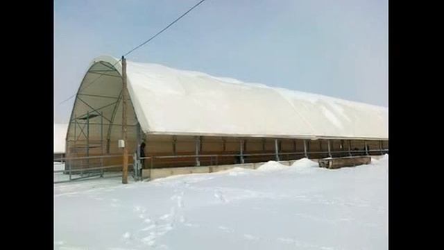 Спецукрытия Ангары смотреть онлайн