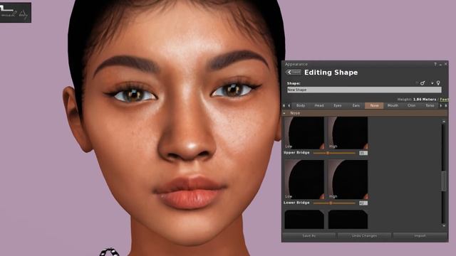 【Second Life】How to make good shape for Genus Classic Face and Maitreya #SecondLife #SL #セカンドライフ смотреть онлайн