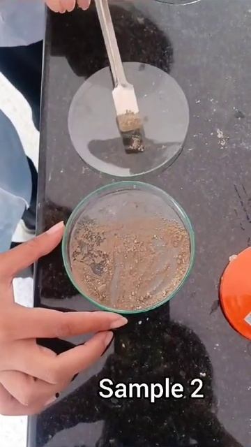 Identification of cement sample|CHEMISTRY #forensicscience #aurangabad #college #practical смотреть онлайн