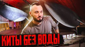 Заброшенный океанографический музей с китами в Испании