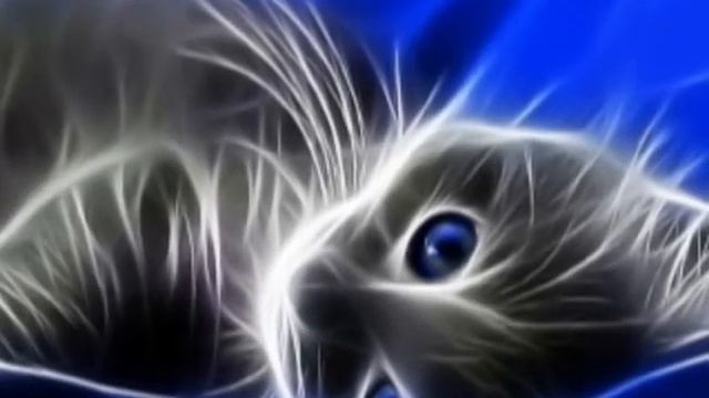 Revolvers  Kotenok  Kisene.avi