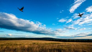 Пасха. Песня 2025. Аполлон Майков — Христос Воскрес!