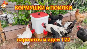 Поилка курам ниппельная из ведра с крышкой понравилась несушкам