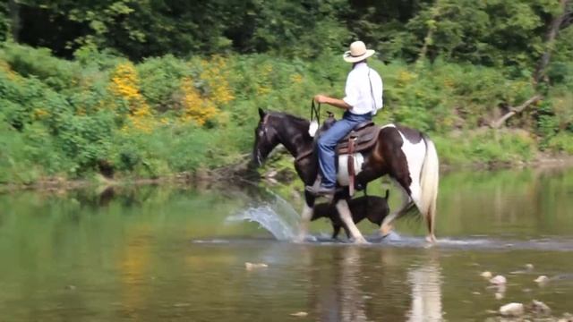 Gypsy Horse Poncho video by Manda Slessor & THR Design смотреть онлайн