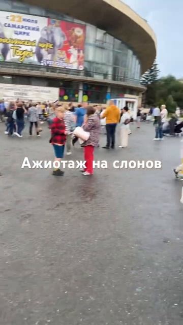В Самаре привезли слонов в цирк и люди сломя голову все бежали смотреть 😧 смотреть онлайн