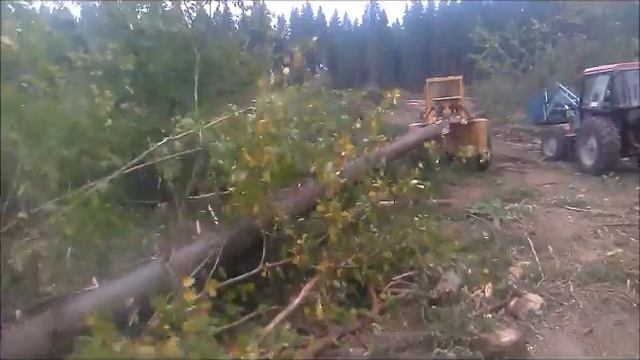 ЛКТ 81 трелевка