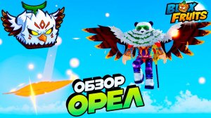 БЛОКС ФРУТС ОРЕЛ ОБЗОР🍈🌊Обнова 26