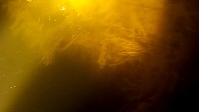 Водные процедуры