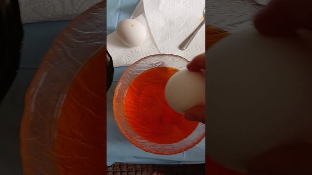 1000000836.mp4 смотреть онлайн