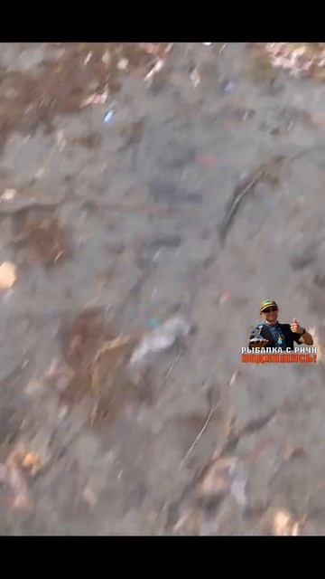 Щука вместо окуня 2021