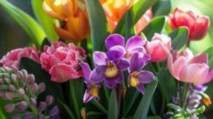 Доброе Утро! 🌞 Пожелание Хорошего Дня и  Удачи с Музыкальной Открыткой!