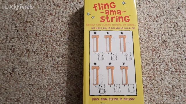 Boo Day 147 - Cat Toys, Cat Treats, And Mail Time - Training And Socializing A Feral Cat