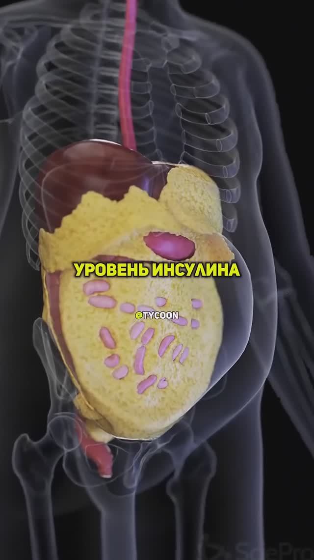 Лече́бное голода́ние смотреть онлайн