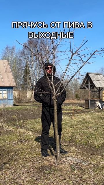 Спрятался от пива смотреть онлайн