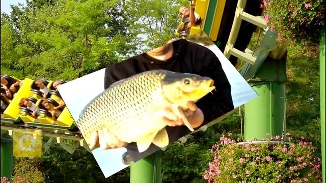 О проекте Letzgo.ru смотреть онлайн