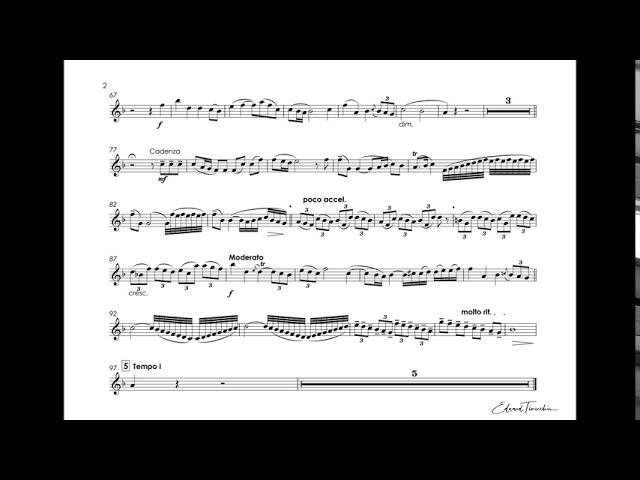 Neruda, Johann - Concerto for trumpet - Timofei Dokshizer trumpet