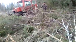 Трелёвка леса на ДТ 75.