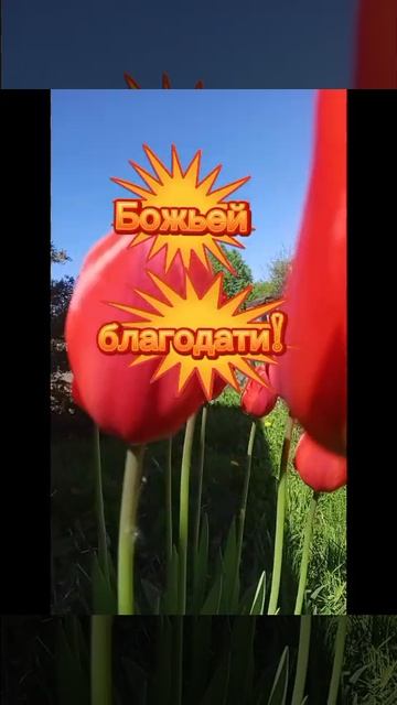 Доброе утро! смотреть онлайн