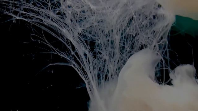 KnuRRhahn - Cyanea