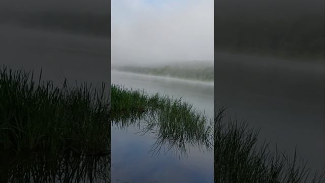 выезд на рыбалку, рыбалка на Оке #fishing