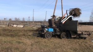 Погрузка навоза самодельным погрузчиком. Холмогорец - 3 с гидроприводом.