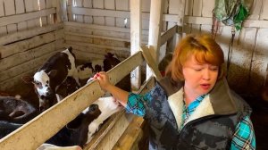 ПОЗДРАВЛЯЮ! СООБЩЕСТВО ДИАНА СТРОГАЯ 18+