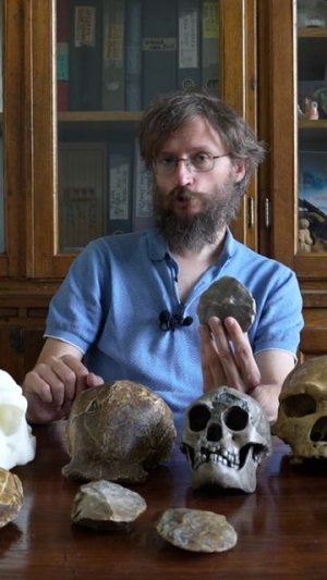 Древнешие в Евразии следы человека (2 млн лет) – Станислав Дробышевский