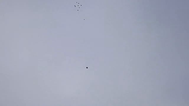 Николаевские голуби! 09-02-2020 смотреть онлайн