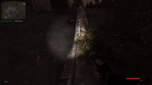 Сталкер . Путь человека . Шаг в неизвестность . Дежавю. Часы Кулака.