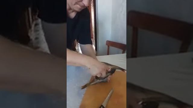 Чистим окуня за две минуты