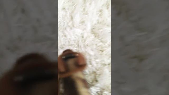 Тренировочка!!!Sasha Шляих