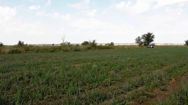 Новости Приморска. Вести с овощных полей - часть1 смотреть онлайн