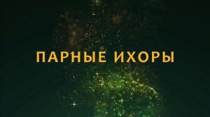 Warframe ТОП 5 оружий Ближнего Боя с высоким уроном с билдами 2024 плюс 2 розыгрыша