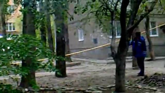 упало дерево в саратове смотреть онлайн