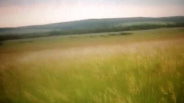 ГОУ СОШ №2012 Космонавтики день  наша радость и гордость