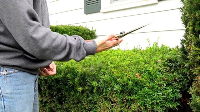 Amleo.com w/ GardenersEdge.com and the ARS8R Super Light Shears смотреть онлайн