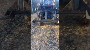 вилы на Кун МТЗ 82