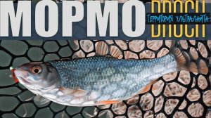 ОТКРЫТИЕ СЕЗОНА РЫБАЛКИ НА МОРМЫШКУ ► МОРМЫШИНГ